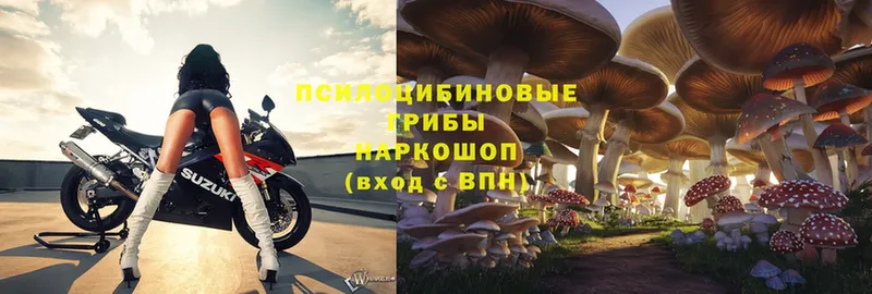 сайты даркнета клад  Белый  Галлюциногенные грибы Psilocybe  как найти закладки 